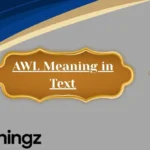 AWL Meaning in Text