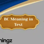 BC Meaning in Text