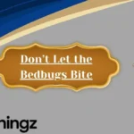 Don’t Let the Bedbugs Bite