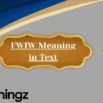FWIW Meaning in Text