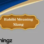 Habibi Meaning Slang