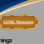 LOML Meaning