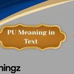 PU Meaning in Text