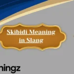 Skibidi Meaning in Slang