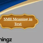 SMH Meaning in Text