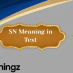 SN Meaning in Text