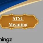 STSU Meaning