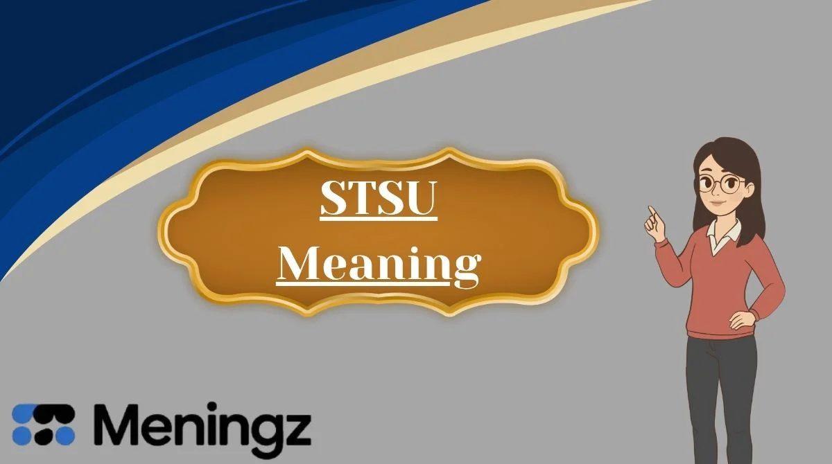 STSU Meaning