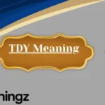TDY Meaning