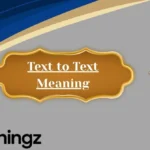 Text to Text Meaning