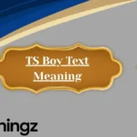 TS Boy Text Meaning