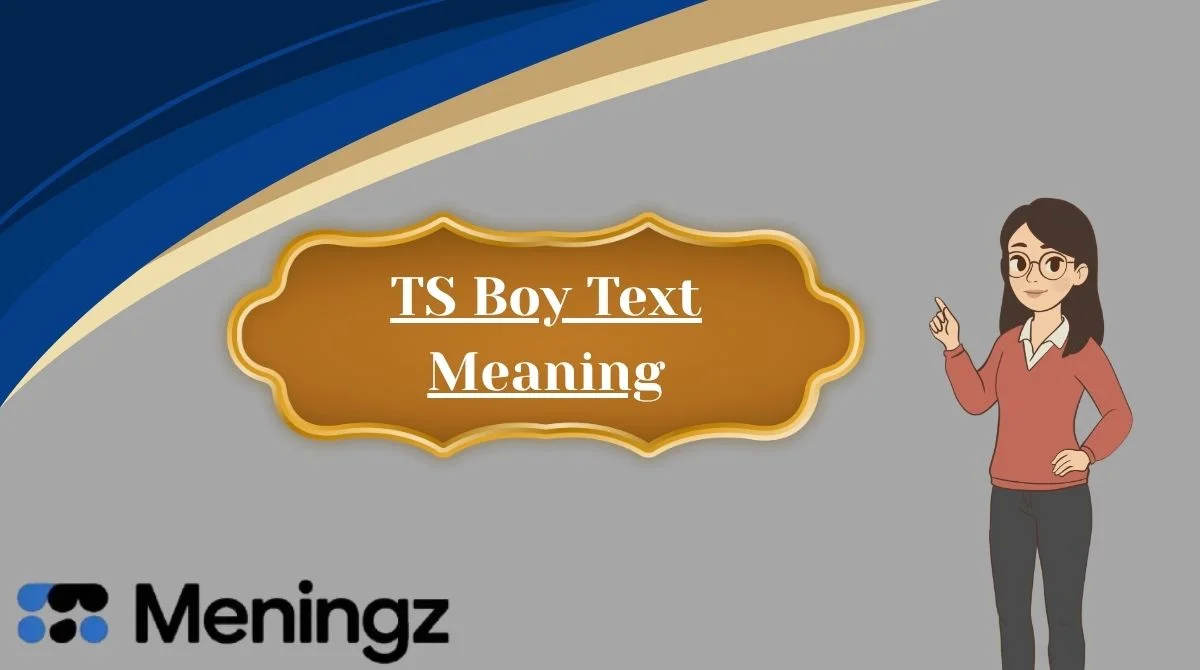 TS Boy Text Meaning