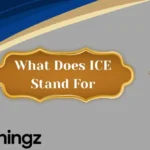 What Does ICE Stand For