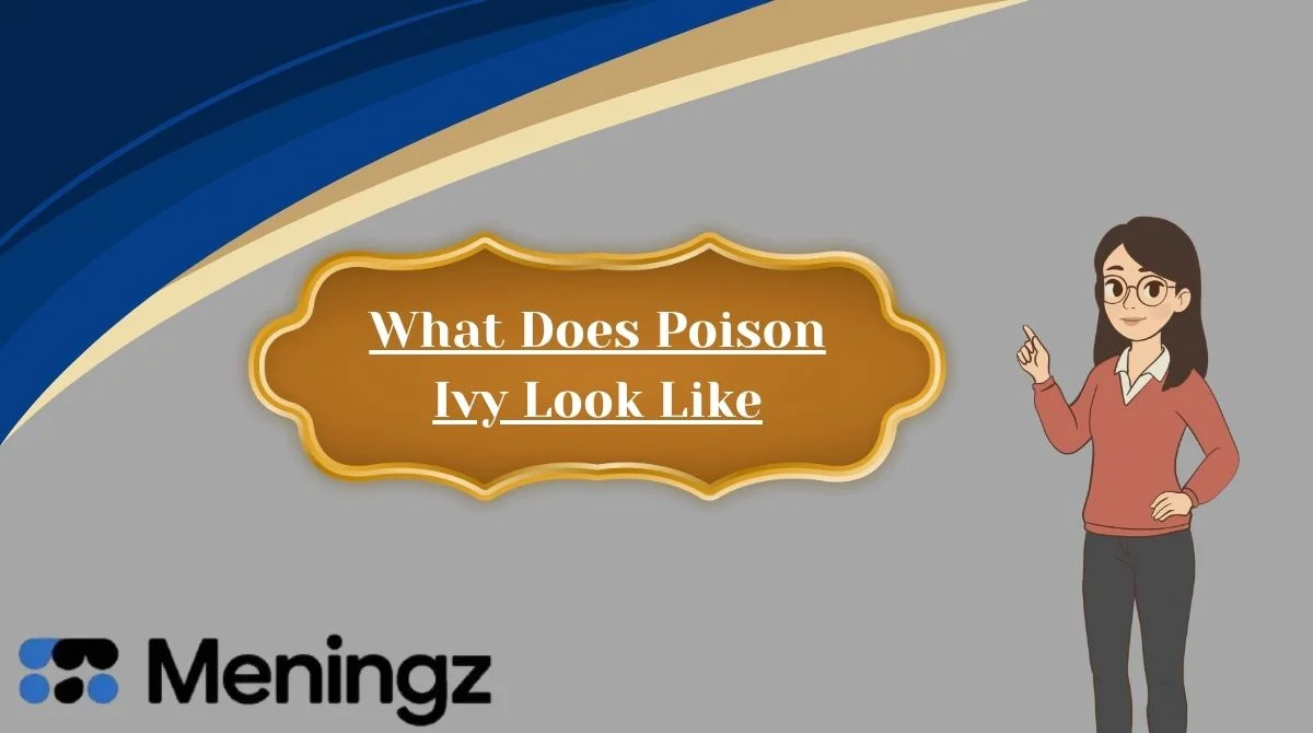 What Does Poison Ivy Look Like