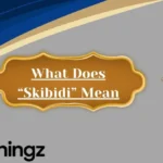 What Does “Skibidi” Mean