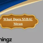 What Does SYBAU Mean