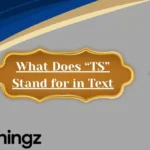 What Does “TS” Stand for in Text