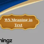 WS Meaning in Text