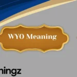 WYO Meaning