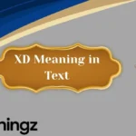 XD Meaning in Text