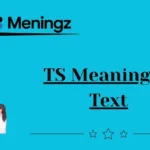 TS Meaning in Text